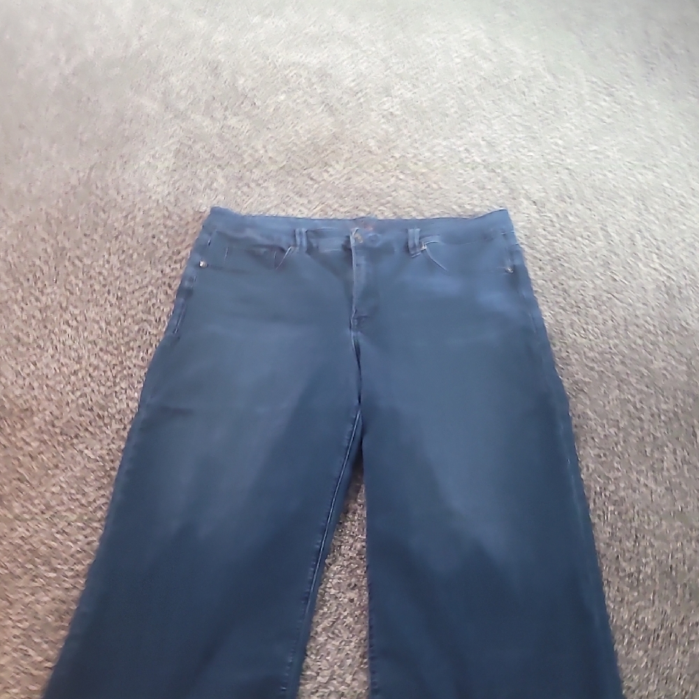 Melissa McCarthy Seven7 Blue Ankle & Cropped Jeans